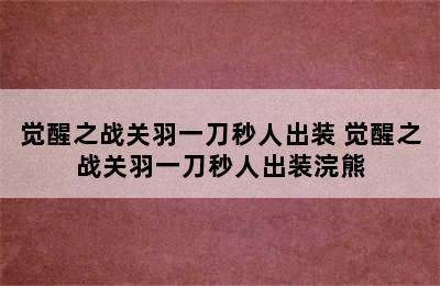 觉醒之战关羽一刀秒人出装 觉醒之战关羽一刀秒人出装浣熊